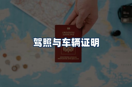 车辆证明展示