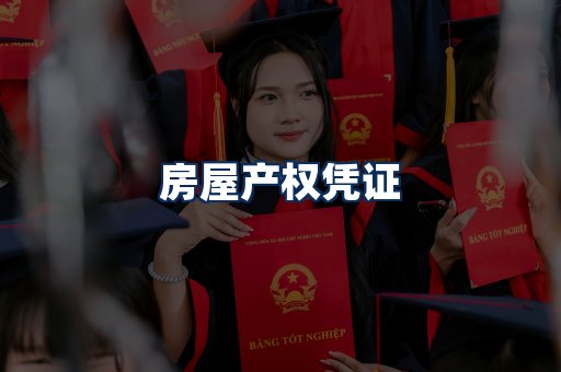 身份信息卡系列