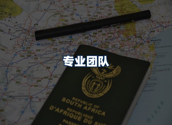 专业团队